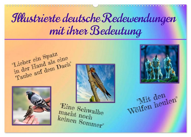 Produktbild: Illustrierte deutsche Redewendungen mit ihrer Bedeutung (Wandkalender 2026 DIN A2 quer), CALVENDO Monatskalender