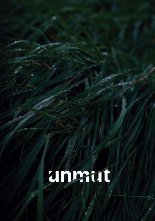 Produktbild: Unmut