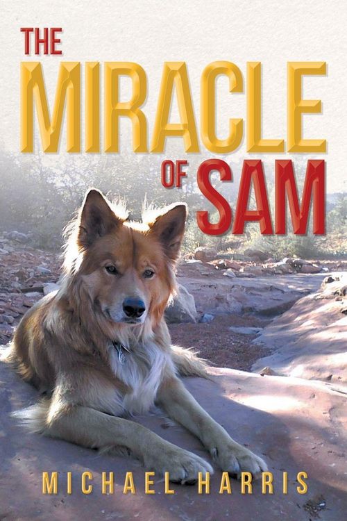 Produktbild: The Miracle of Sam