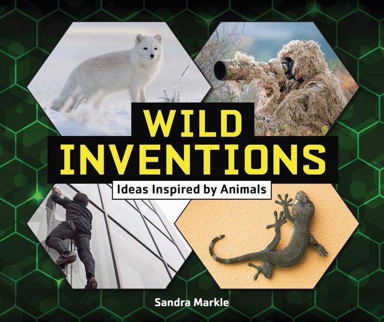Produktbild: Wild Inventions