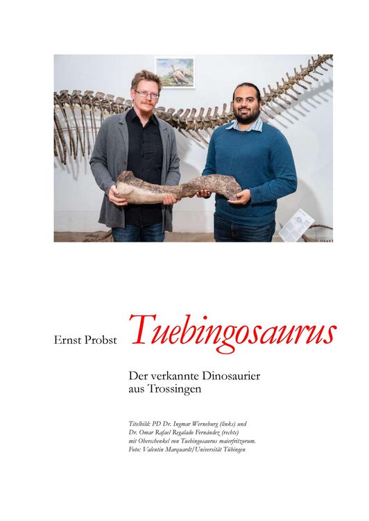 Produktbild: Tuebingosaurus