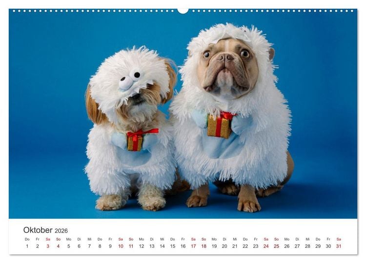 Produktbild: Die Bulldogge Henry (Wandkalender 2026 DIN A2 quer), CALVENDO Monatskalender