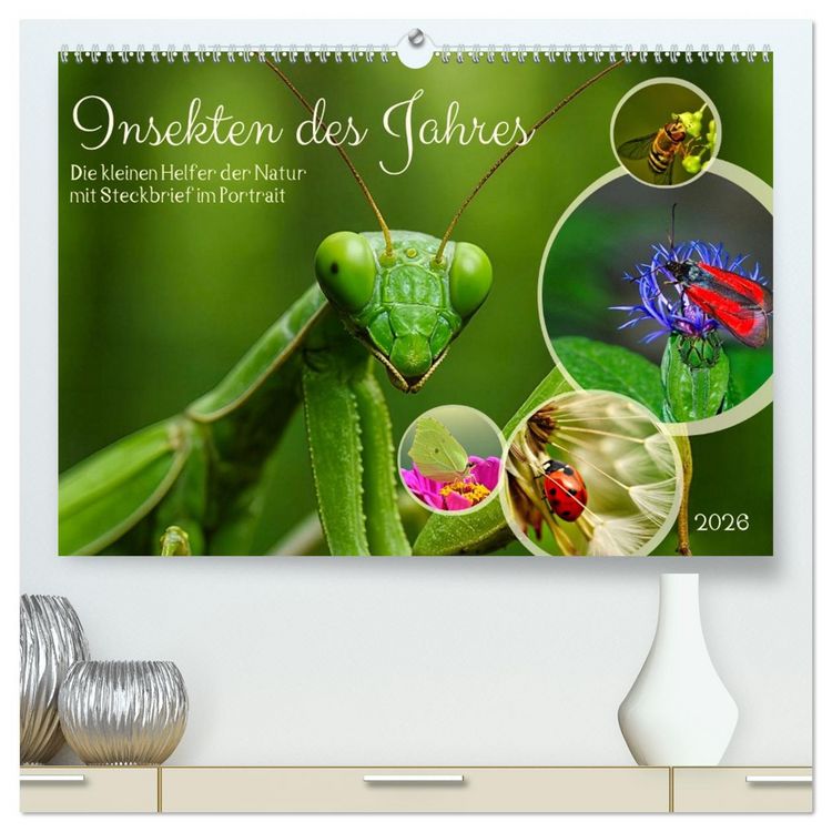 Produktbild: Insekt des Jahres (hochwertiger Premium Wandkalender 2026 DIN A2 quer), Kunstdruck in Hochglanz