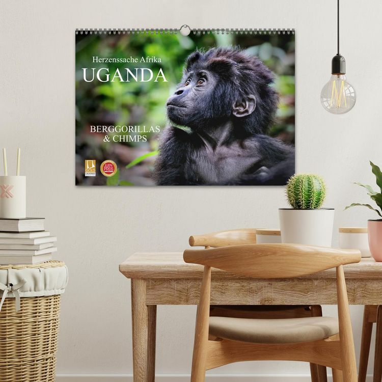 Produktbild: UGANDA - Berggorillas & Chimps (Wandkalender 2026 DIN A3 quer), CALVENDO Monatskalender