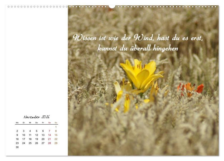 Produktbild: Innehalten in der Natur ... mit Weisheiten und Sprichworten der Indianer (hochwertiger Premium Wandkalender 2026 DIN A2 quer), Kunstdruck in Hochglanz