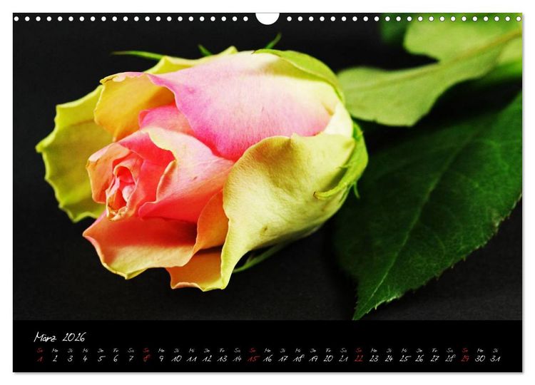 Produktbild: Flower (Wandkalender 2026 DIN A3 quer), CALVENDO Monatskalender