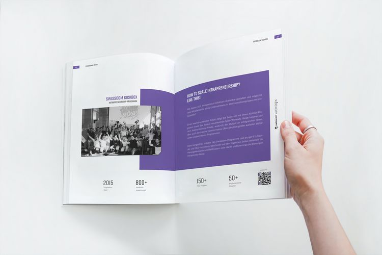 Produktbild: Intrapreneur Stories