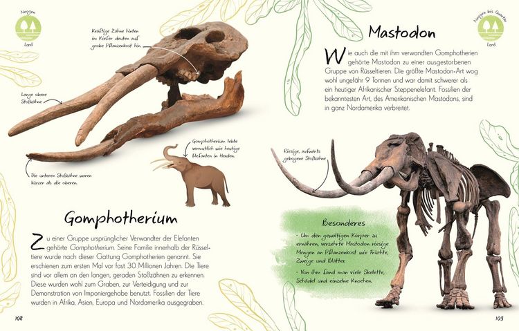Produktbild: Wundervolle Welt - Kleine Sch&auml;tze. Fossilien