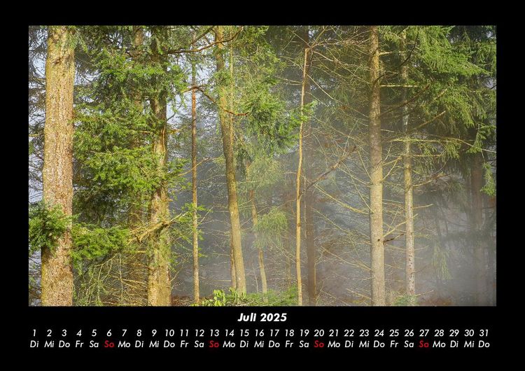Produktbild: Waldzauber 2025 Fotokalender DIN A3