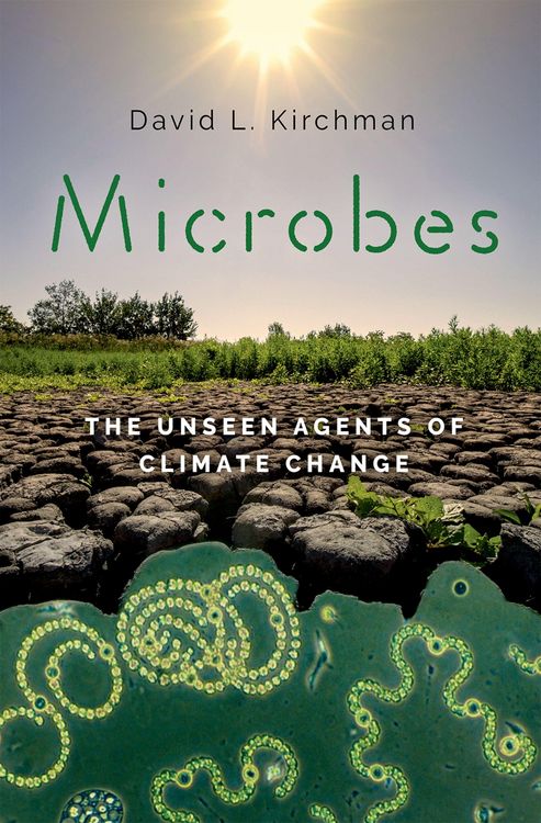 Produktbild: Microbes