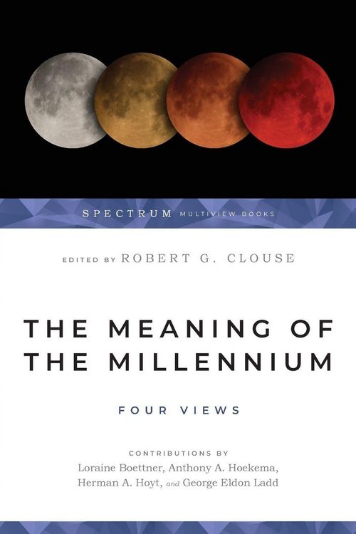 Produktbild: The Meaning of the Millennium