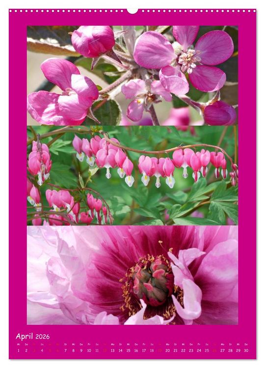 Produktbild: Natur im Farbenrausch (Wandkalender 2026 DIN A2 hoch), CALVENDO Monatskalender
