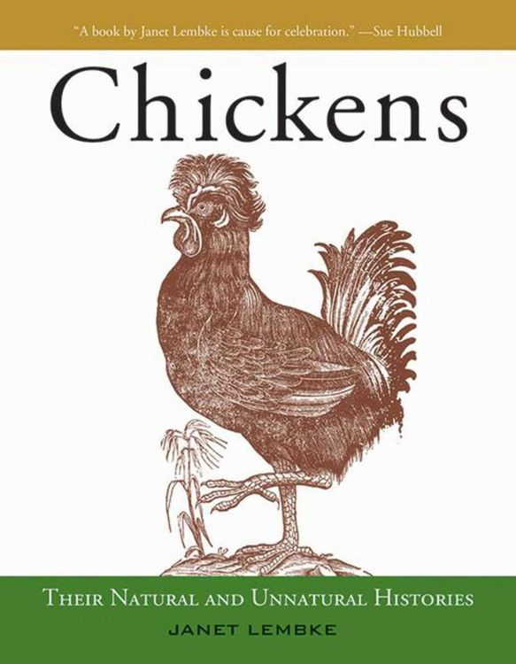 Produktbild: Chickens