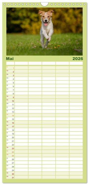 Produktbild: Familienplaner 2026 - Faszination Hund mit 5 Spalten (Wandkalender, 21 x 45 cm) CALVENDO