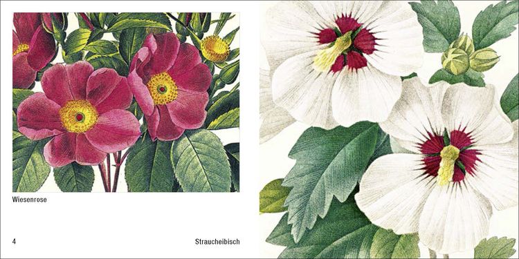 Produktbild: Historische Blumenbilder &ndash; Book To Go