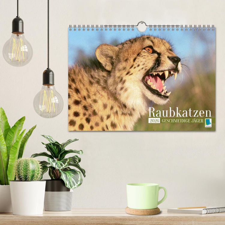 Produktbild: Raubkatzen: Geschmeidige J&auml;ger (Wandkalender 2026 DIN A4 quer), CALVENDO Monatskalender