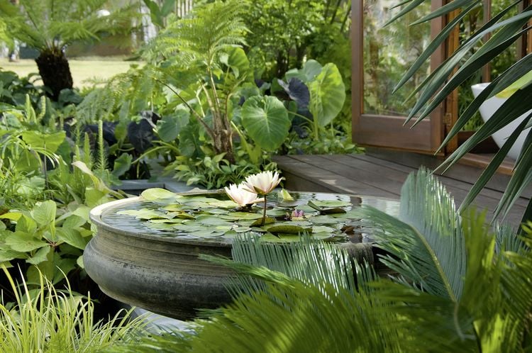 Produktbild: Wasser im Garten 2