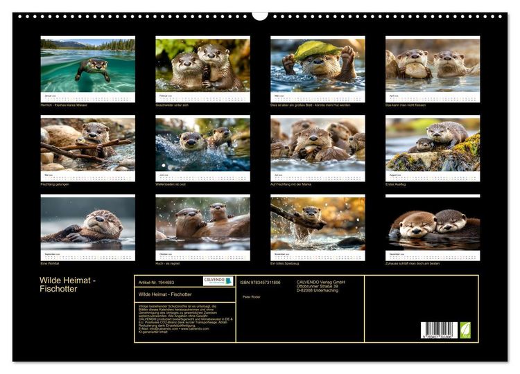 Produktbild: Wilde Heimat - Fischotter (Wandkalender 2026 DIN A2 quer), CALVENDO Monatskalender