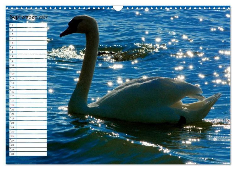 Produktbild: Lazise und Umgebung (Wandkalender 2027 DIN A3 quer), CALVENDO Monatskalender