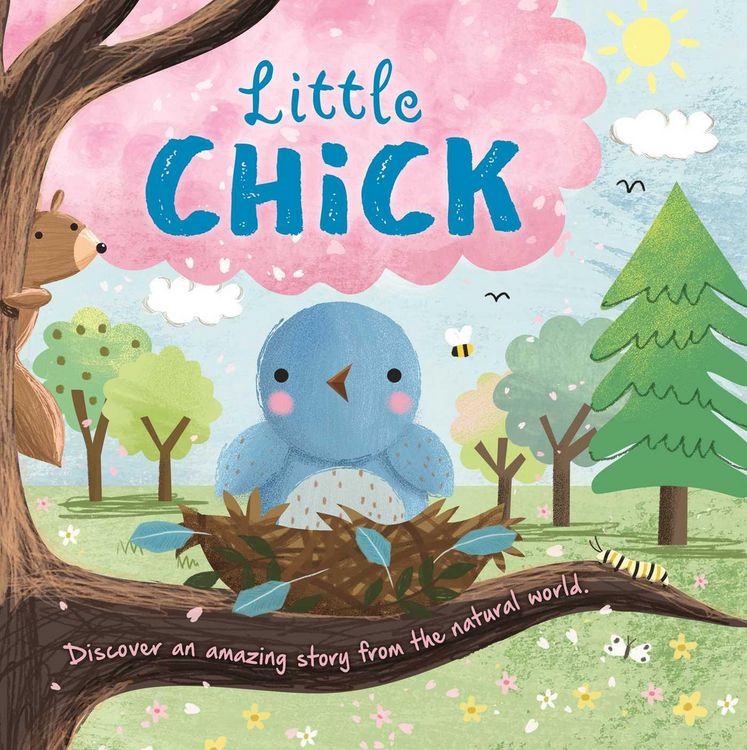 Produktbild: Nature Stories: Little Chick-Discover an Amazing Story from the Natural World