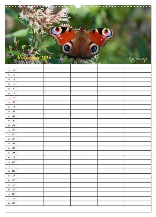 Produktbild: Schmetterlinge in Bayern (Wandkalender 2026 DIN A2 hoch), CALVENDO Monatskalender
