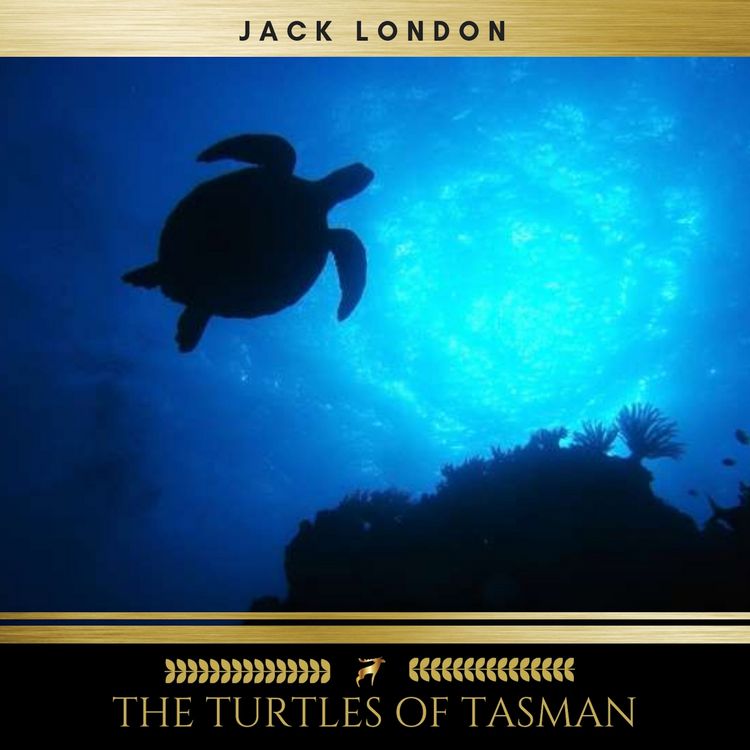 Produktbild: The Turtles of Tasman