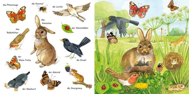 Produktbild: Mein kleines buntes Bildw&ouml;rterbuch: Tiere im Park und im Garten