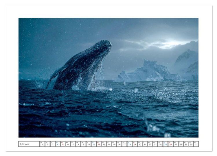 Produktbild: Die letzte Fahrt der Sturmkr&auml;he (hochwertiger Premium Wandkalender 2026 DIN A2 quer), Kunstdruck in Hochglanz