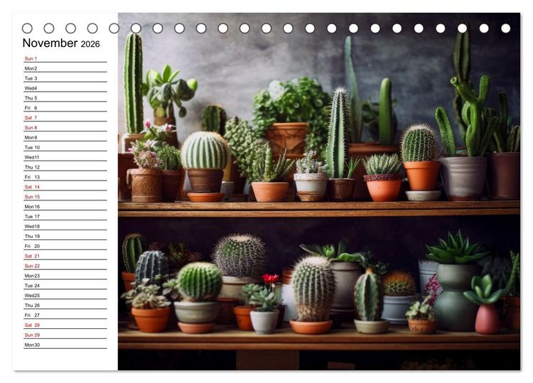 Produktbild: Cacti Wonderland (Desk Calendar 2026 DIN A5 landscape), CALVENDO 12 Month DeskCalendar