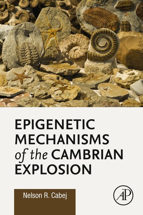 Produktbild: Epigenetic Mechanisms of the Cambrian Explosion