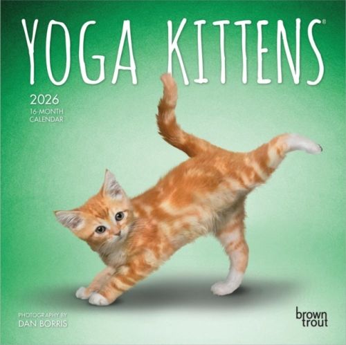 Produktbild: Yoga Kittens Official 2026 7 X 14 Inch (Hanging) Monthly Mini Wall Calendar