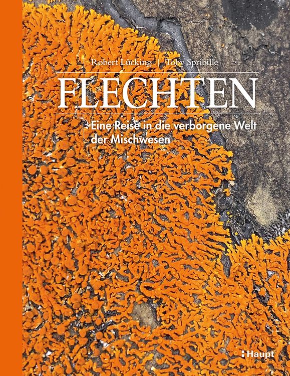 Produktbild: Flechten