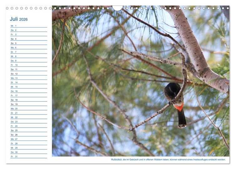 Produktbild: S&uuml;dsee-Insel Mo'orea (Wandkalender 2026 DIN A3 quer), CALVENDO Monatskalender