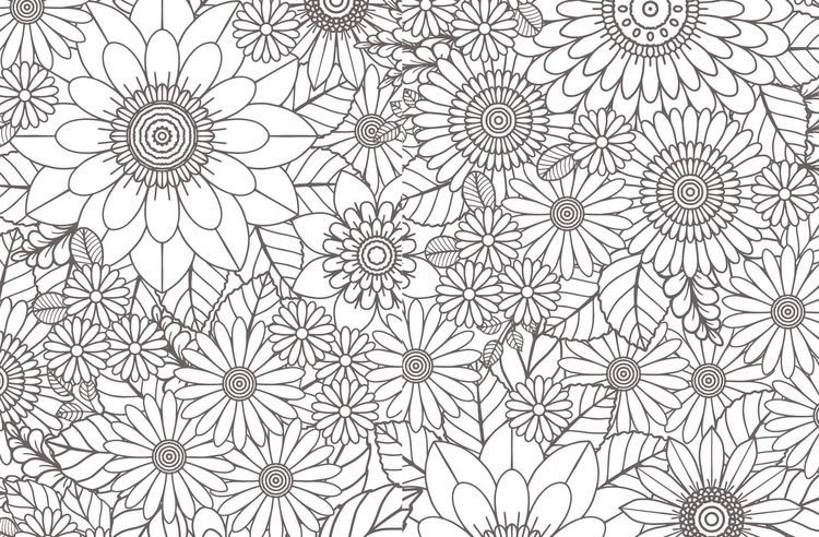 Produktbild: Colorful Mandala &ndash; Bl&uuml;ten und Schmetterlinge