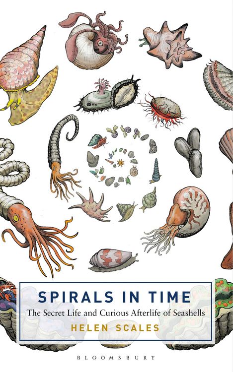 Produktbild: Spirals in Time