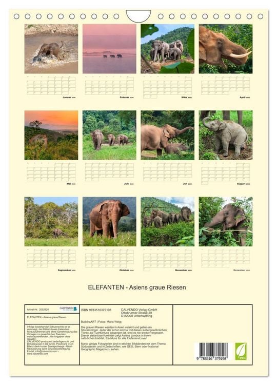 Produktbild: ELEFANTEN - Asiens graue Riesen (Wandkalender 2026 DIN A4 hoch), CALVENDO Monatskalender
