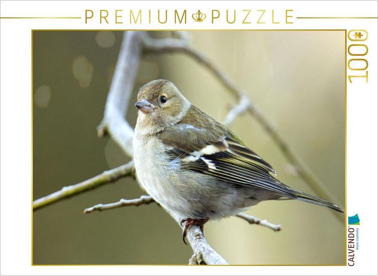 Produktbild: CALVENDO Puzzle Buchfinken-M&auml;dchen | 1000 Teile Lege-Gr&ouml;&szlig;e 64x48cm Foto-Puzzle f&uuml;r gl&uuml;ckliche Stunden