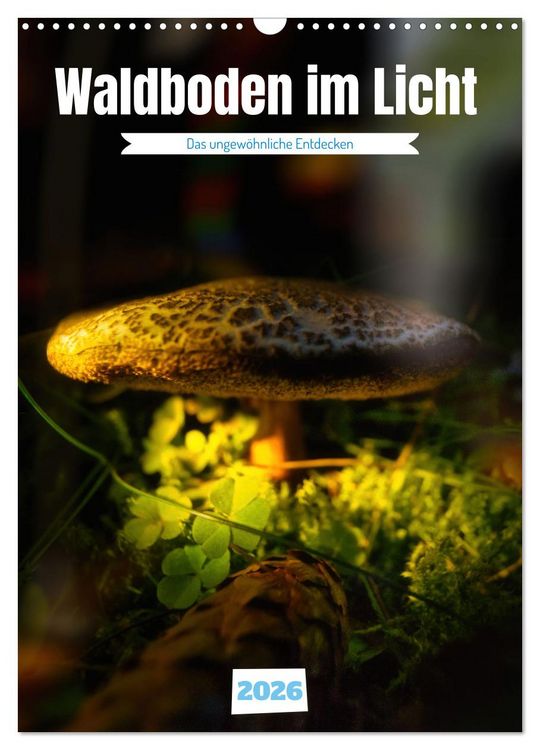 Produktbild: Waldboden im Licht (Wandkalender 2026 DIN A3 hoch), CALVENDO Monatskalender
