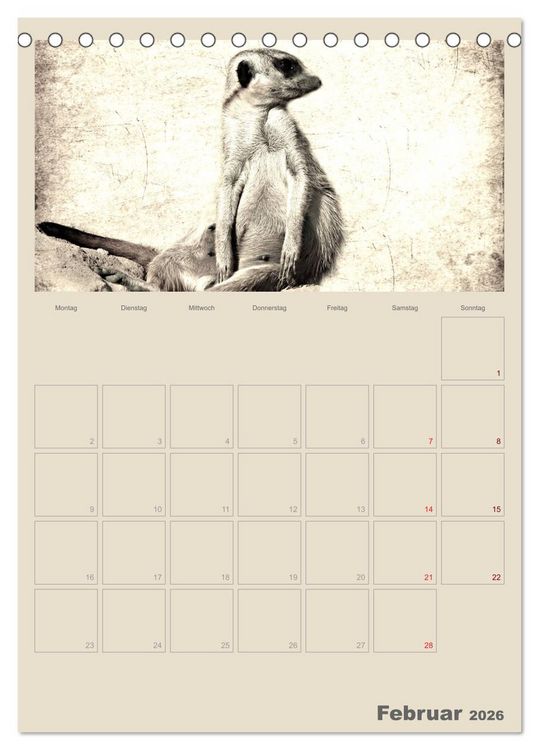 Produktbild: Lustige Erdm&auml;nnchen (Tischkalender 2026 DIN A5 hoch), CALVENDO Monatskalender