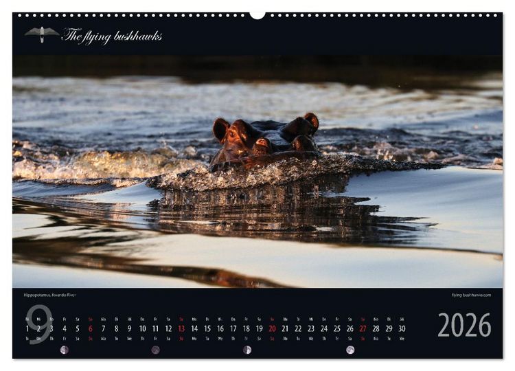 Produktbild: Botswana Blickwinkel 2026 (hochwertiger Premium Wandkalender 2026 DIN A2 quer), Kunstdruck in Hochglanz
