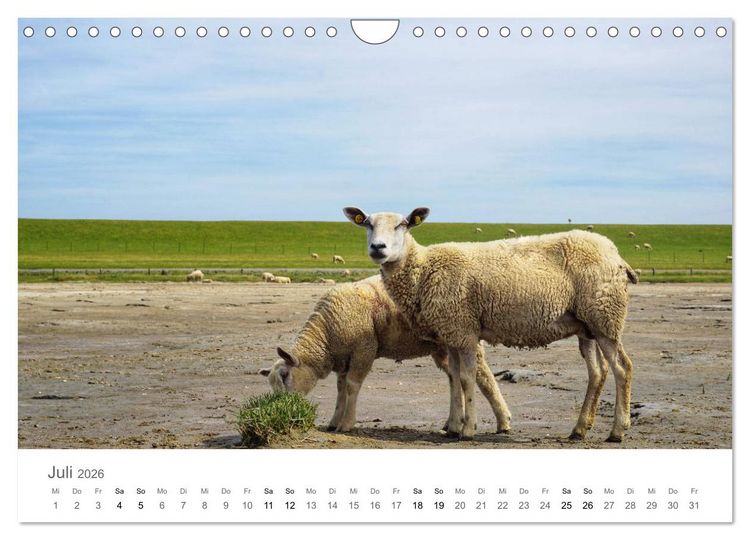 Produktbild: Nordfriesland (Wandkalender 2026 DIN A4 quer), CALVENDO Monatskalender