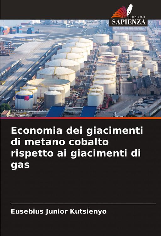 Produktbild: Economia dei giacimenti di metano cobalto rispetto ai giacimenti di gas