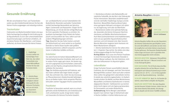Produktbild: Kleine Aquarien