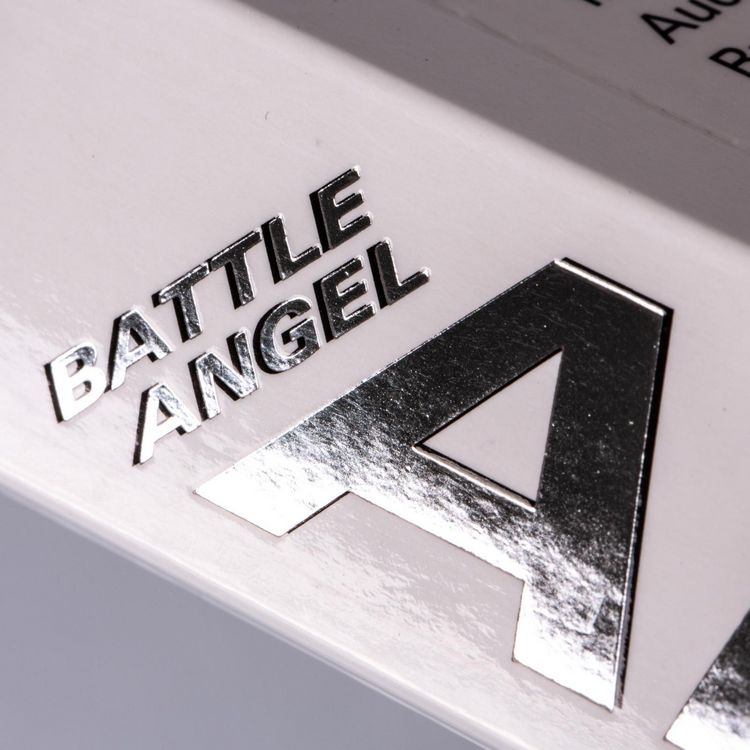 Produktbild: Battle Angel Alita - Last Order - Perfect Edition 7