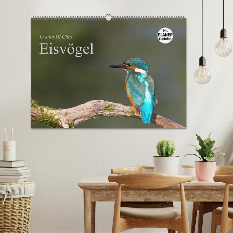 Produktbild: Eisv&ouml;gel (Wandkalender 2026 DIN A2 quer), CALVENDO Monatskalender