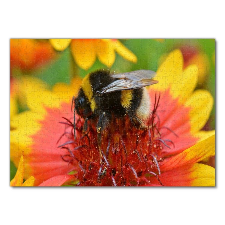 Produktbild: Lais Puzzle Hummel 500 Teile