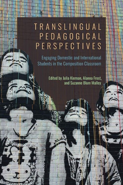 Produktbild: Translingual Pedagogical Perspectives