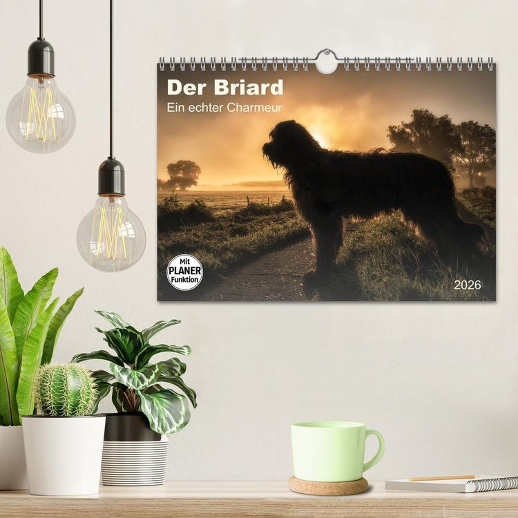 Produktbild: Der Briard 2026 - Ein echter Charmeur (Wandkalender 2026 DIN A4 quer), CALVENDO Monatskalender