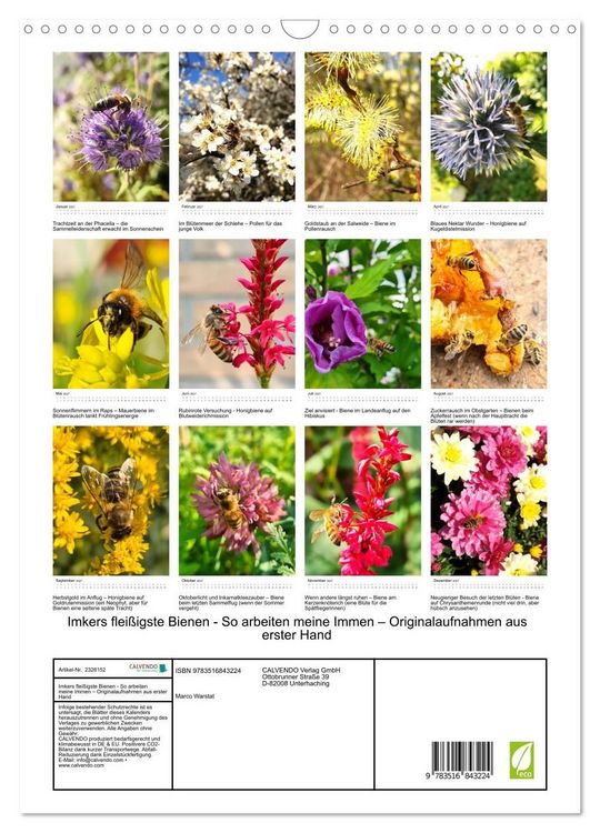 Produktbild: Imkers flei&szlig;igste Bienen - So arbeiten meine Immen &ndash; Originalaufnahmen aus erster Hand (Wandkalender 2027 DIN A3 hoch), CALVENDO Monatskalender