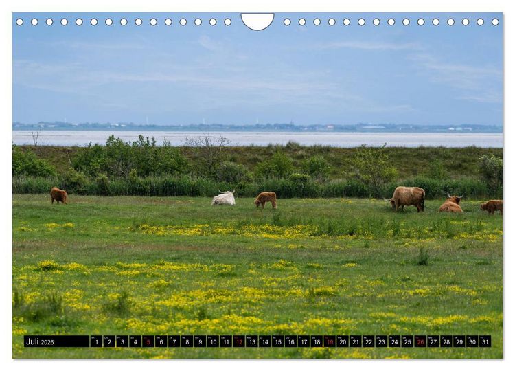 Produktbild: Urlaub auf R&ouml;m&ouml; (Wandkalender 2026 DIN A4 quer), CALVENDO Monatskalender